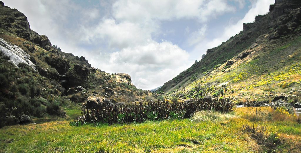 Mt. Elgon National Park