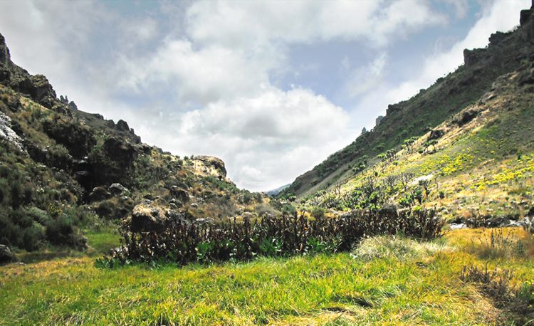 Mt. Elgon National Park